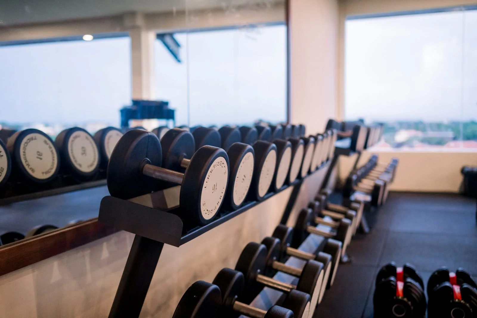 Infinitus gym dumbbell area